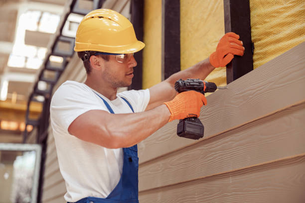 Best Custom Trim and Detailing for Siding  in Pahoa, HI